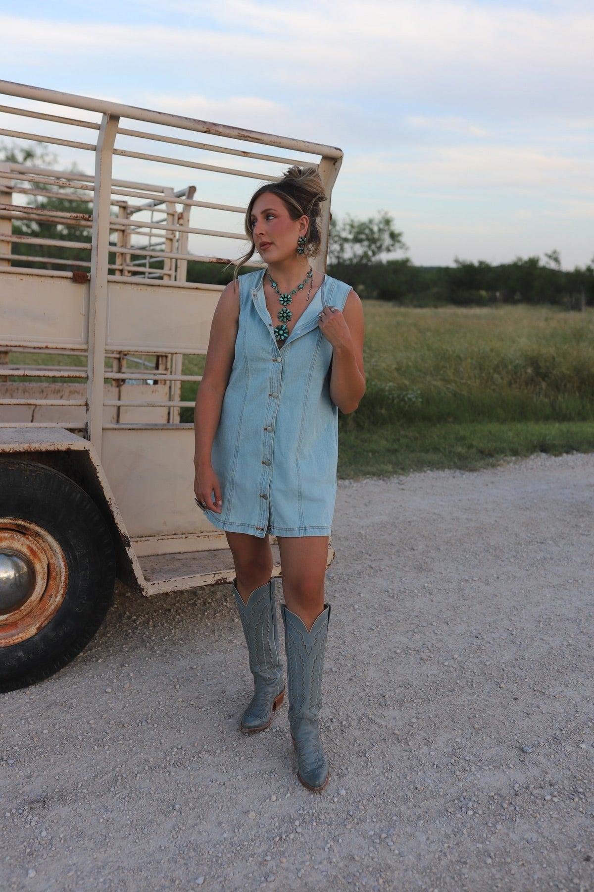 The Dobbs Denim Dress in Light Wash